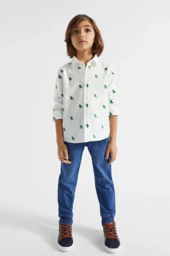 Boy Seed Heritage T-Shirts & Tops-Dino Shirt