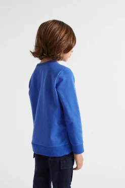 Boy Seed Heritage Knitwear & Sweaters-Dino Slogan Sweat